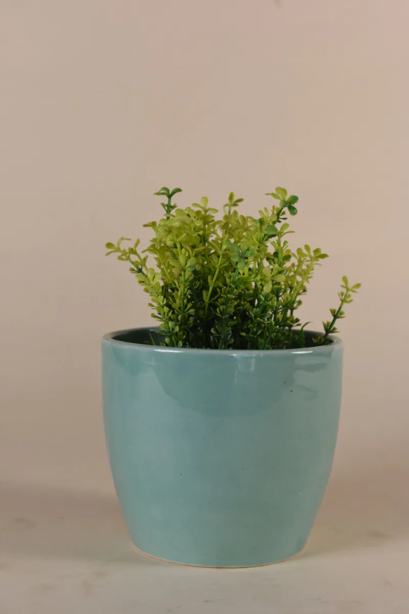 Classic Ceramic Planter — 4.5" Dia × 4" Height — Primary View