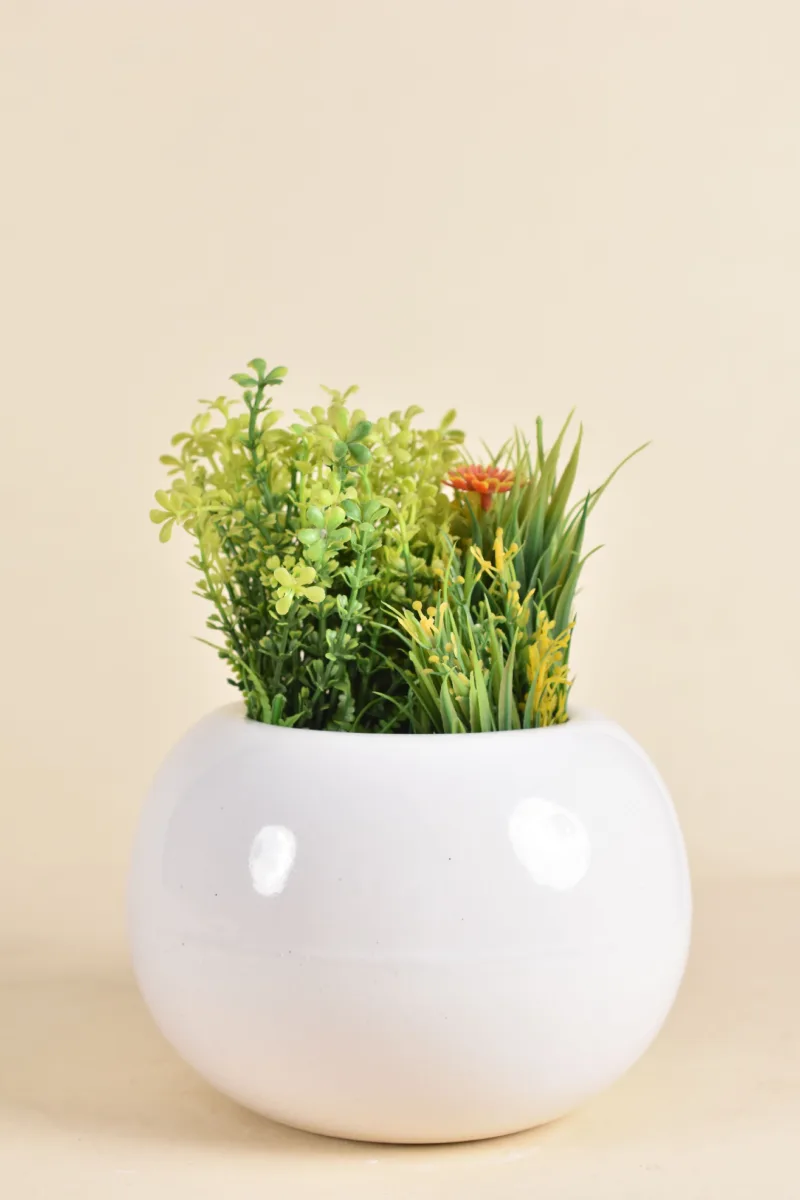 Classic Ceramic Planter — 4.5" Dia × 4.5" Height — Primary View
