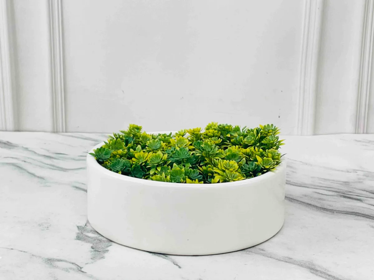 Classic Ceramic Planter — 5" Dia × 3" Height — Primary View