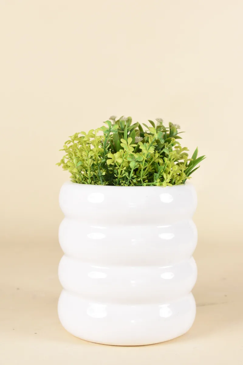 Classic Ceramic Planter — 6" Dia × 4.5" Height — Primary View