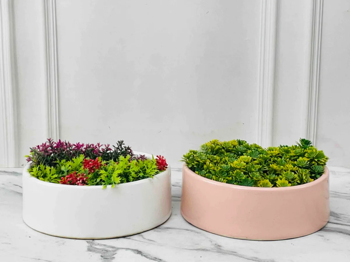 Classic Ceramic Planter — 7" Dia × 6.5" Height — Primary View