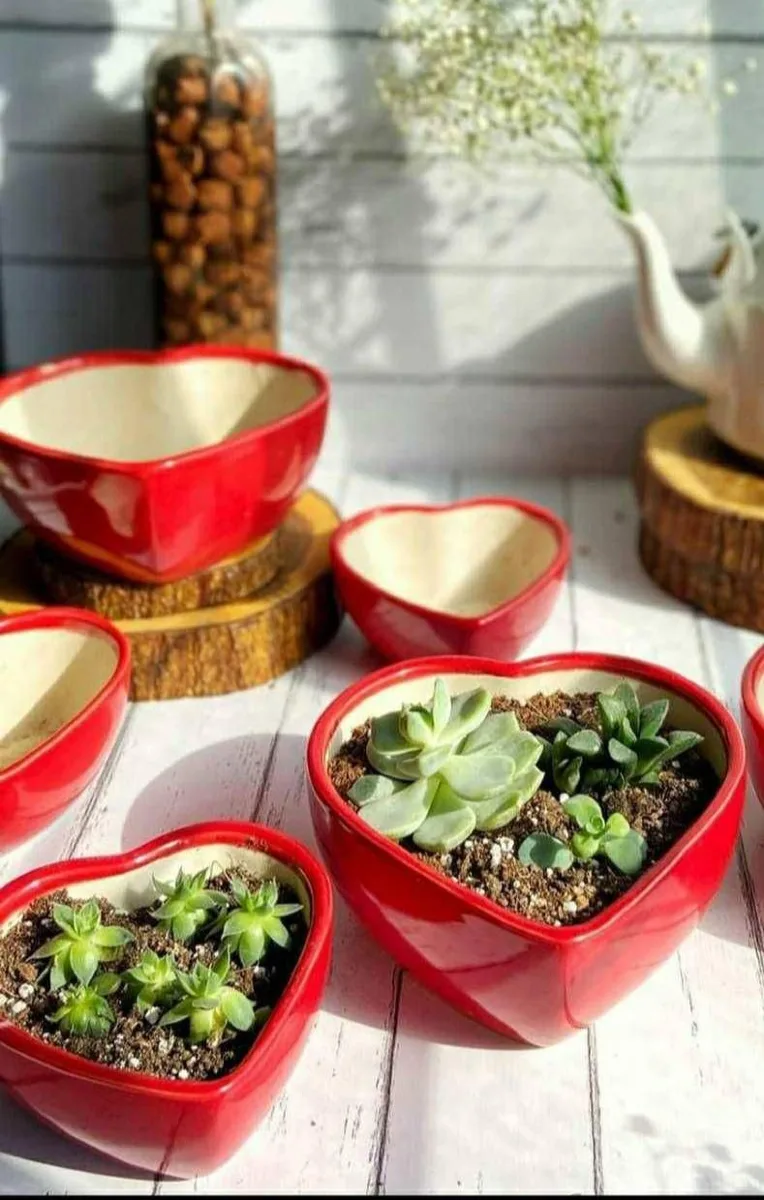 Classic Ceramic Planter — 3.5" Dia × 7" Height — Primary View