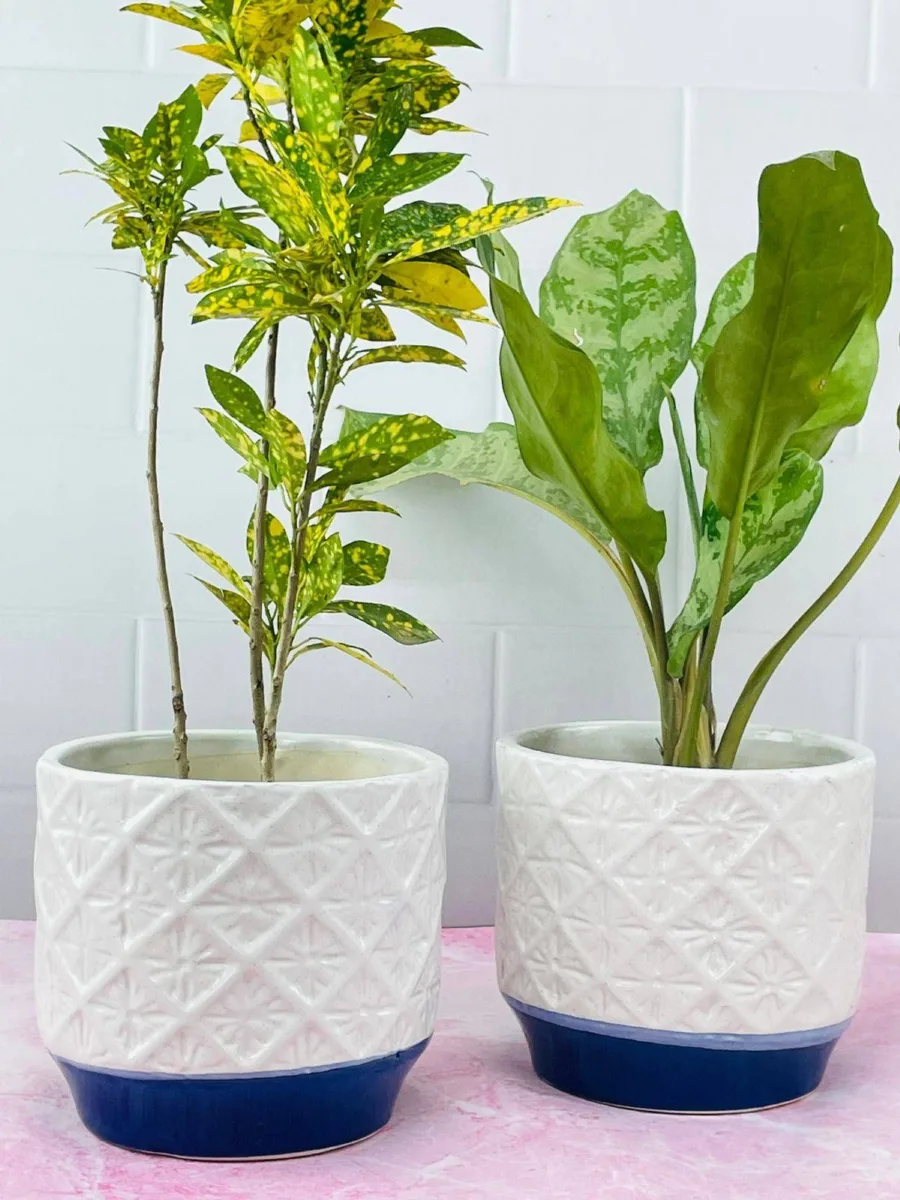 Classic Ceramic Planter — 4" Dia — Primary View