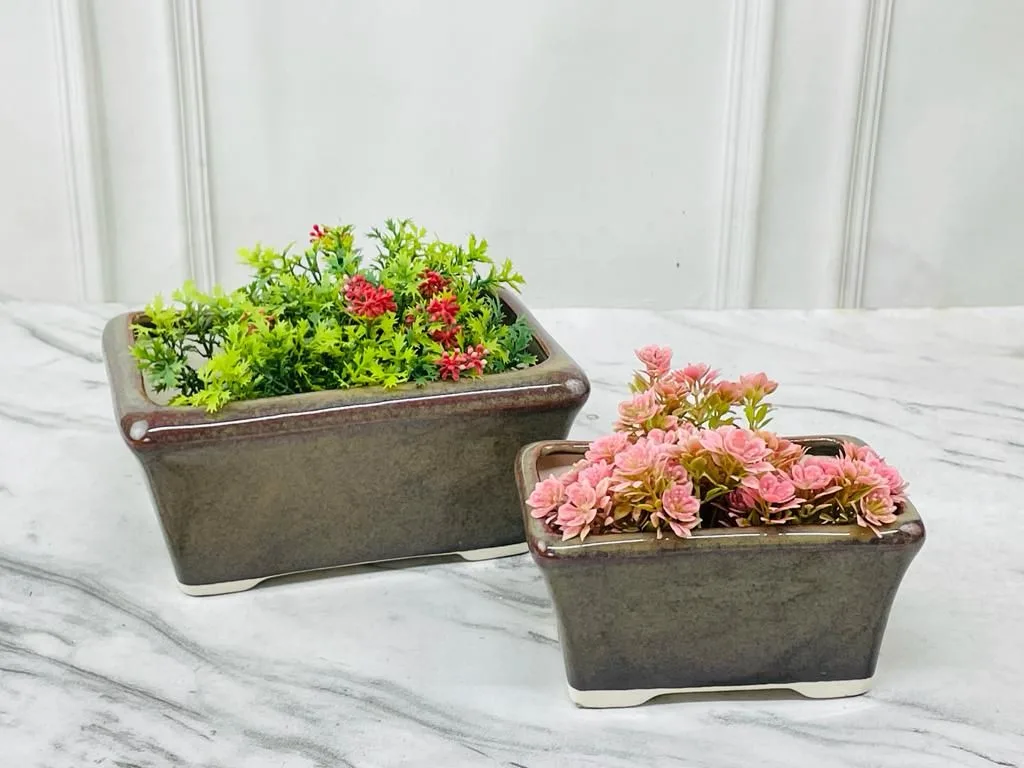 Classic Ceramic Planter — Primary View