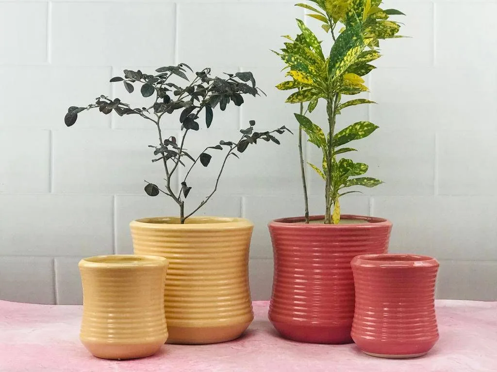 Classic Ceramic Planter — 7" Dia × 7" Height — Primary View