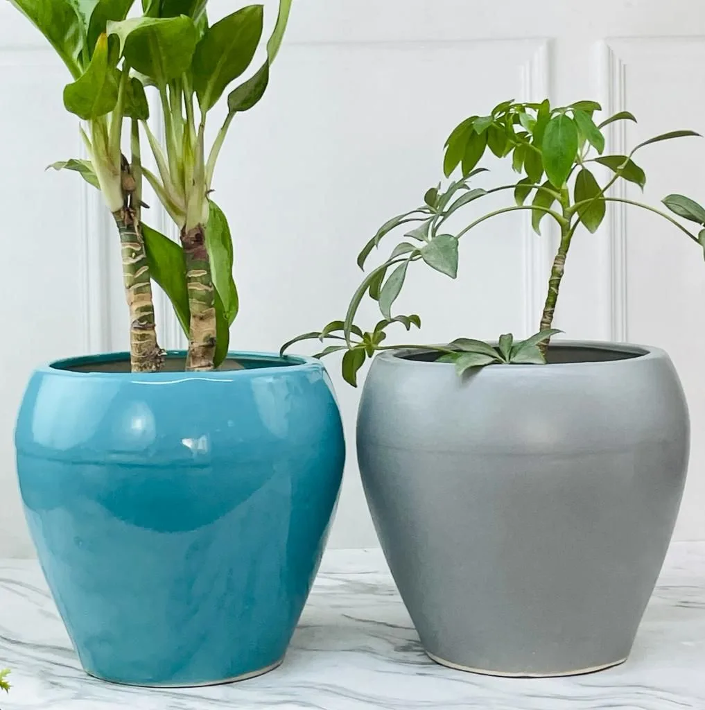 Classic Ceramic Planter — 4" Dia × 7" Height — Primary View