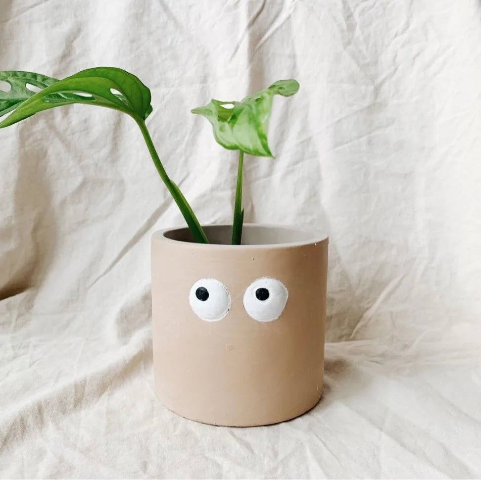 Classic Ceramic Planter — 6.5" Dia × 5.5" Height — Primary View