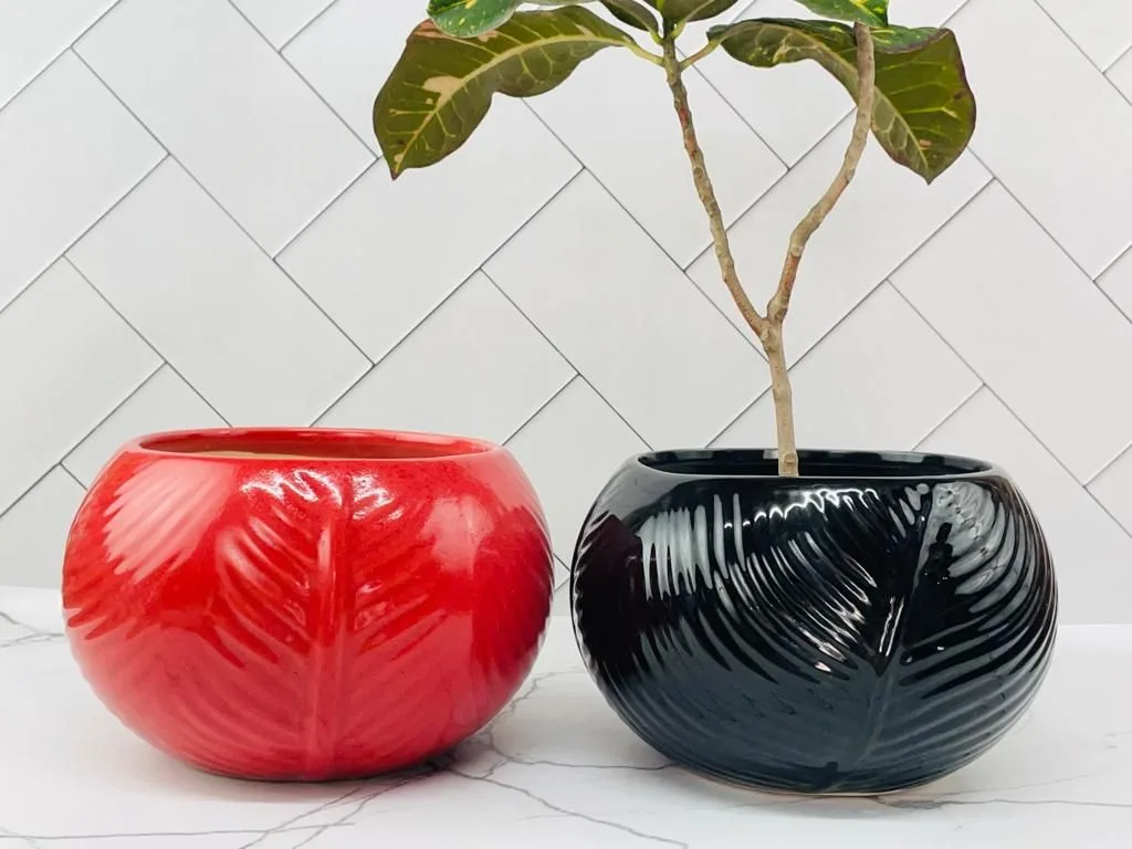Classic Ceramic Planter — 11" Dia × 4" Height — Primary View