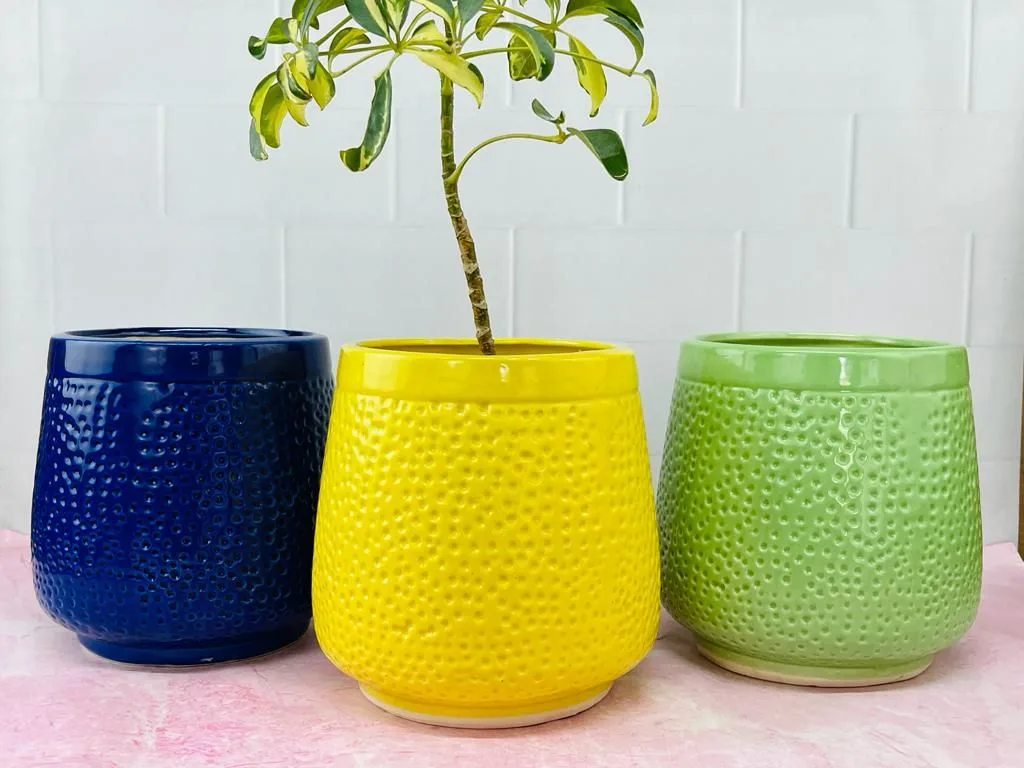 Classic Ceramic Planter Set of 2 (6.5" Dia × 5.5" Height) — Primary View
