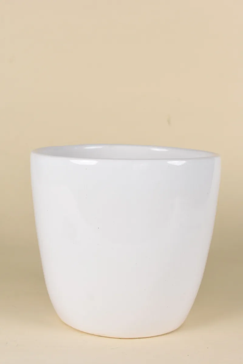 Classic Ceramic Planter — 9" Dia × 5.5" Height — Primary View