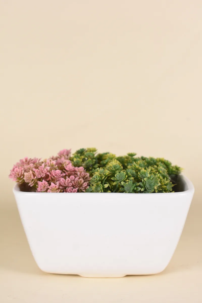 Classic Ceramic Planter — 6.5" Dia × 12" Height — Primary View