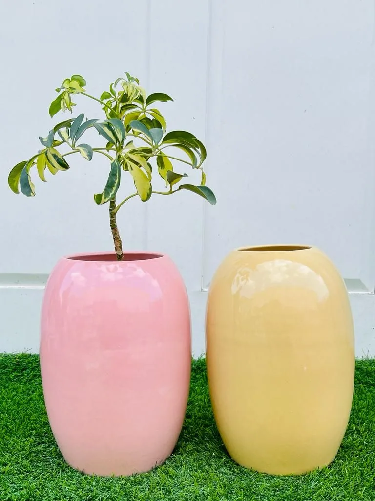 Classic Ceramic Planter — 6.5" Dia × 5.5" Height — Primary View