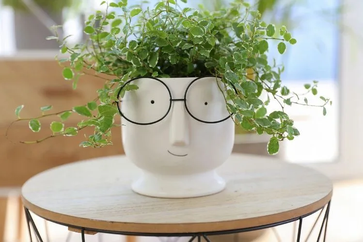 Classic Ceramic Planter — 9" Dia × 5.5" Height — Primary View