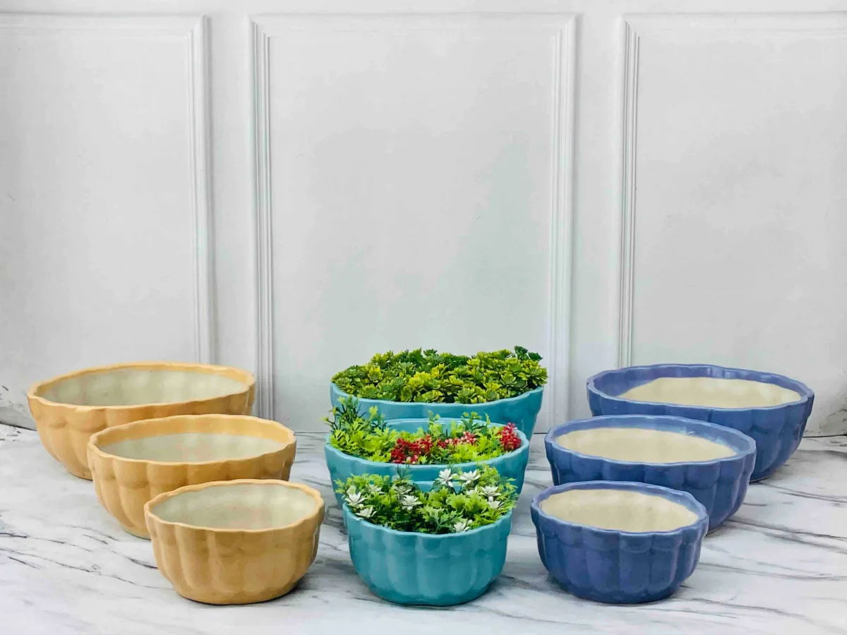 Classic Ceramic Planter — 12" Dia × 4" Height — Primary View
