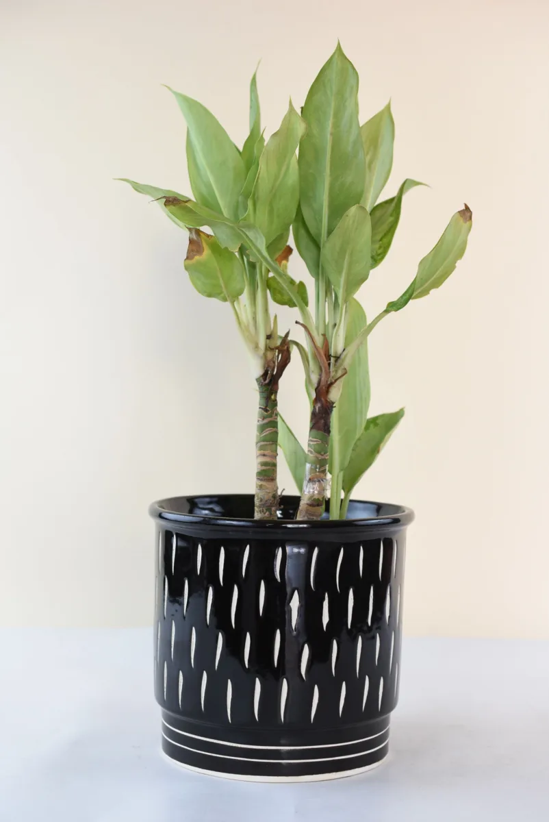 Classic Ceramic Planter — 4.5" Dia × 10" Height — Primary View