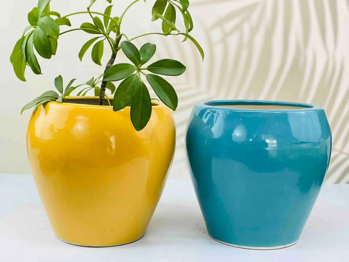 Classic Ceramic Planter — 6.5" Dia × 10.5" Height — Primary View