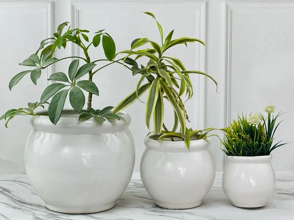 Classic Ceramic Planter — 6" Dia × 8" Height — Primary View