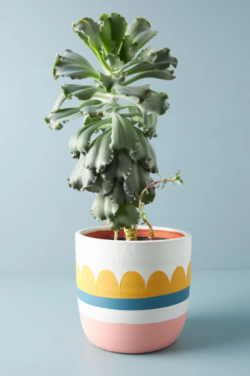 Classic Ceramic Planter Set of 3 (3" Dia × 8.5" Height) — Primary View