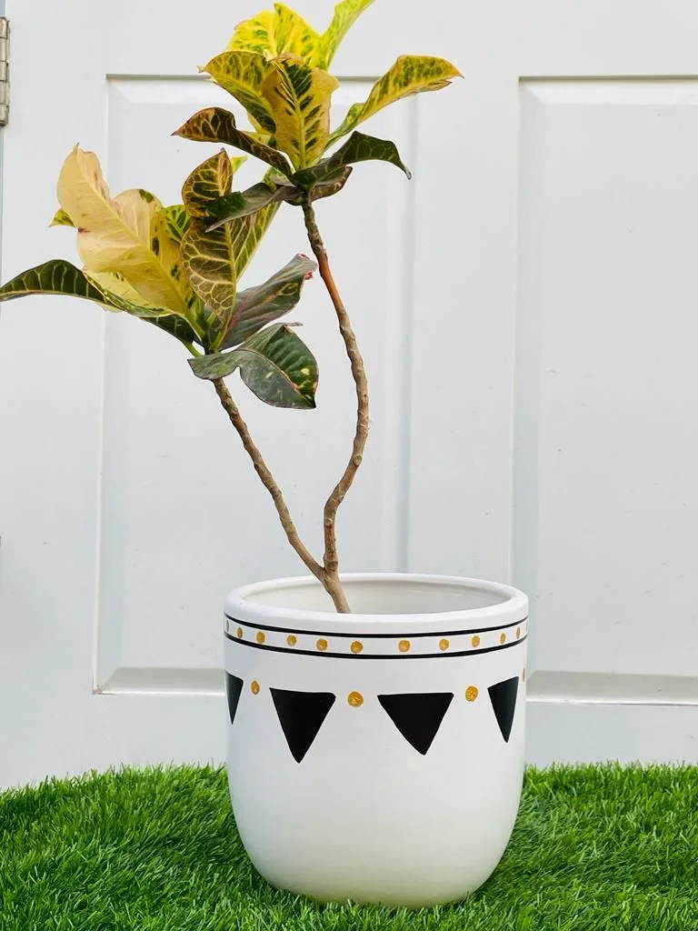 Classic Ceramic Planter Set of 3 (8.5" Dia × 3.5" Height) — Primary View