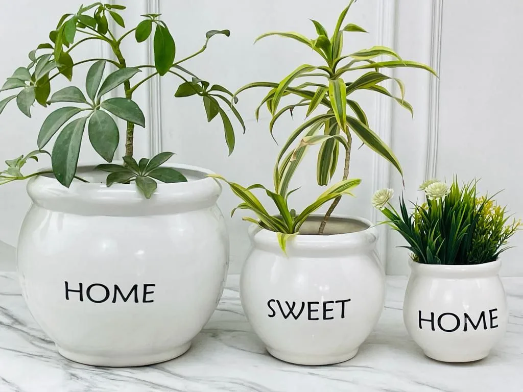 Classic Ceramic Planter — 8" Dia × 5" Height — Primary View