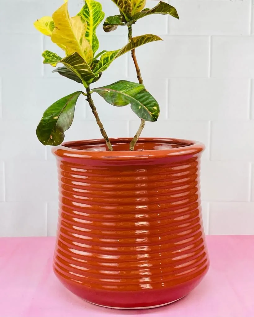 Classic Ceramic Planter — 4" Dia × 11.5" Height — Primary View