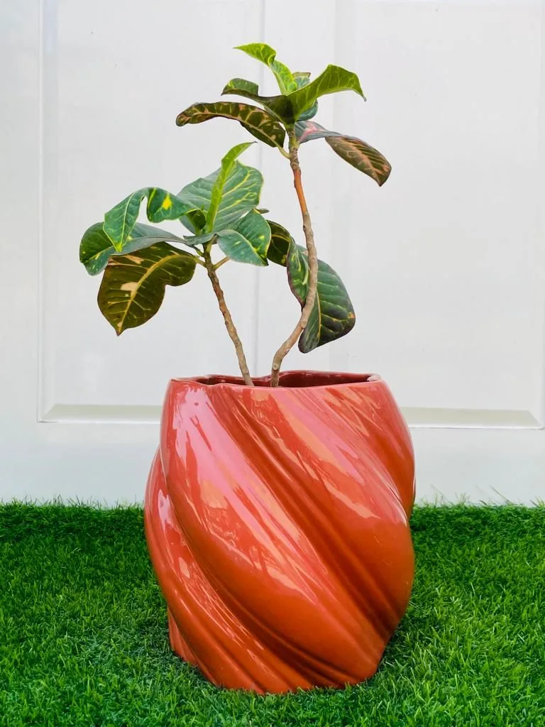 Classic Ceramic Planter Set of 3 (7" Dia × 7" Height) — Primary View