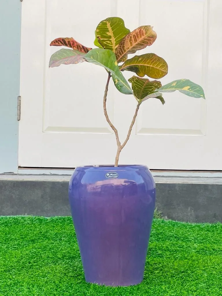 Classic Ceramic Planter — 7.5" Dia × 8.5" Height — Primary View