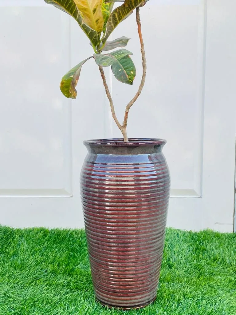 Classic Ceramic Planter Set of 3 (7.5" Dia × 7" Height) — Primary View