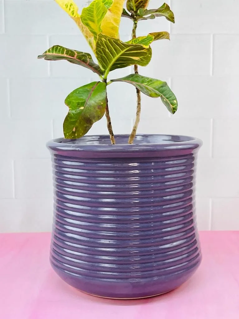 Classic Ceramic Planter — 11" Dia × 10" Height — Primary View