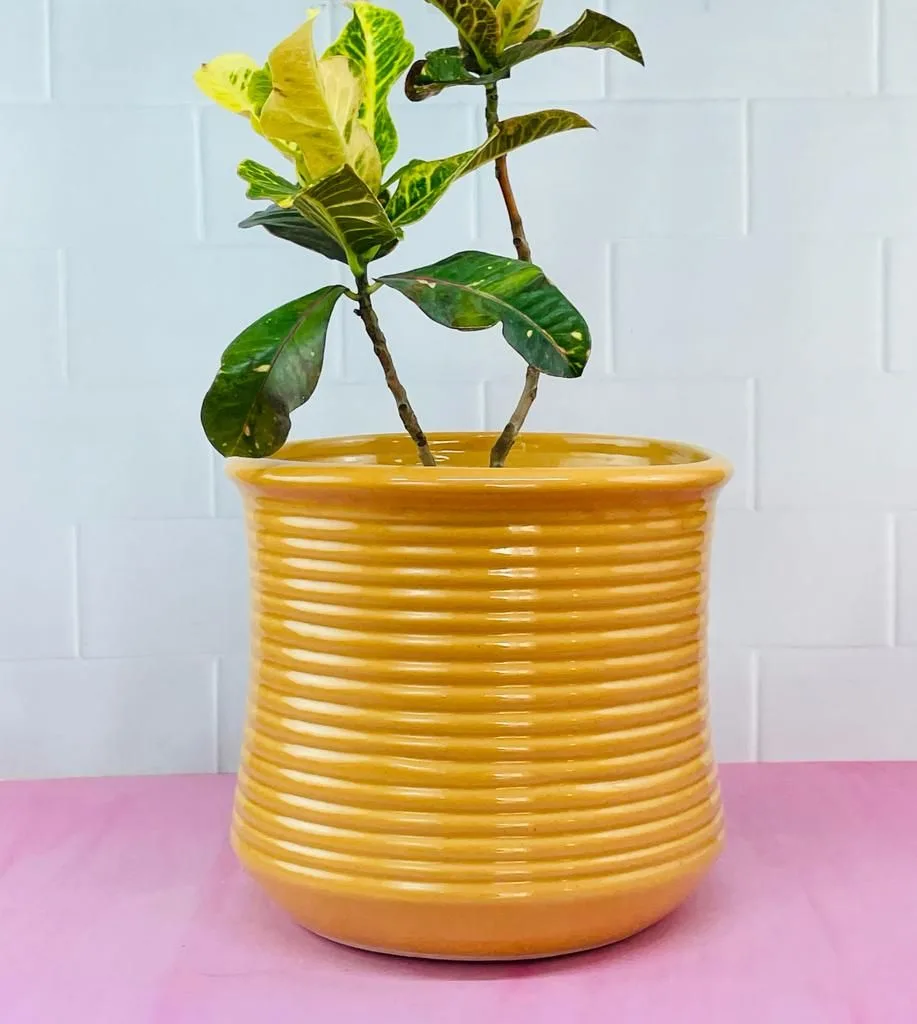 Classic Ceramic Planter Set of 3 (12" Dia × 2.5" Height) — Primary View