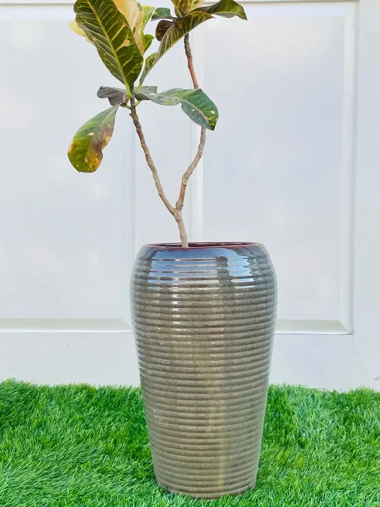 Classic Ceramic Planter — 9" Dia × 10" Height — Primary View
