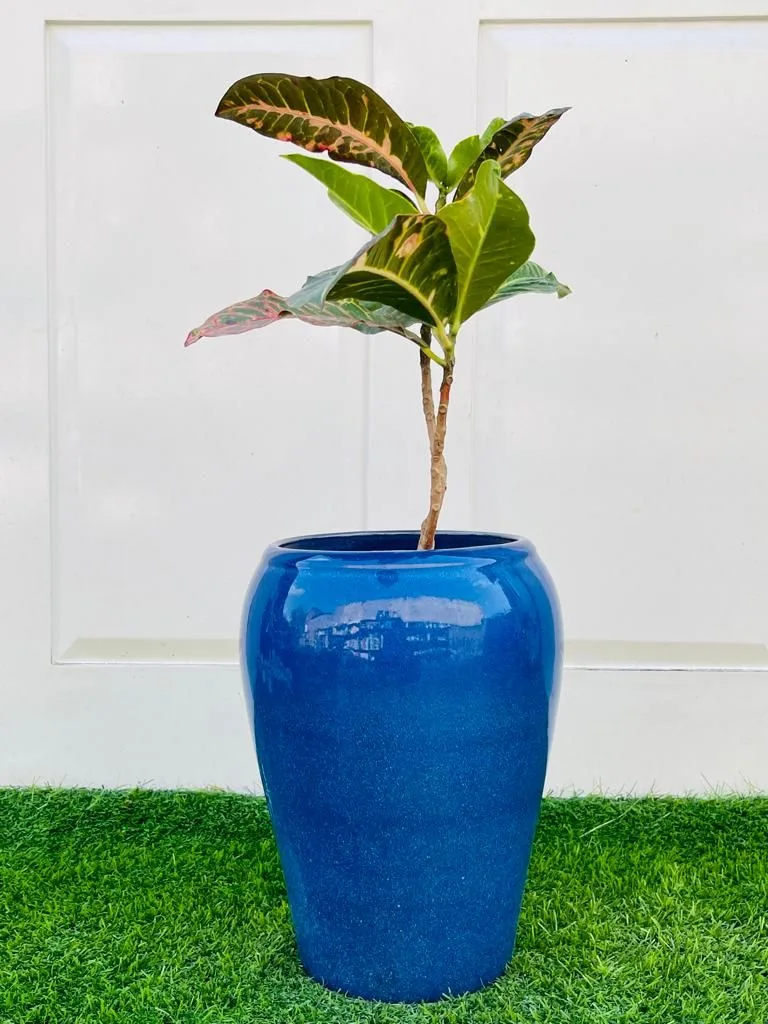Classic Ceramic Planter — 8.5" Dia × 9.5" Height — Primary View