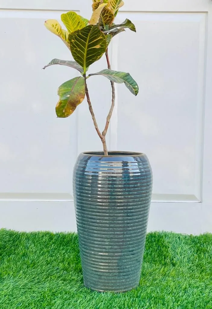 Classic Ceramic Planter — 9" Dia × 12" Height — Primary View