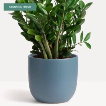 Classic Ceramic Planter — 7" Dia × 10" Height — Primary View