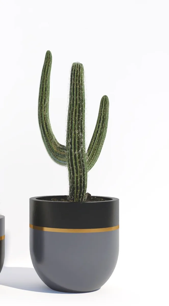 Classic Ceramic Planter — 9.5" Dia × 9" Height — Primary View