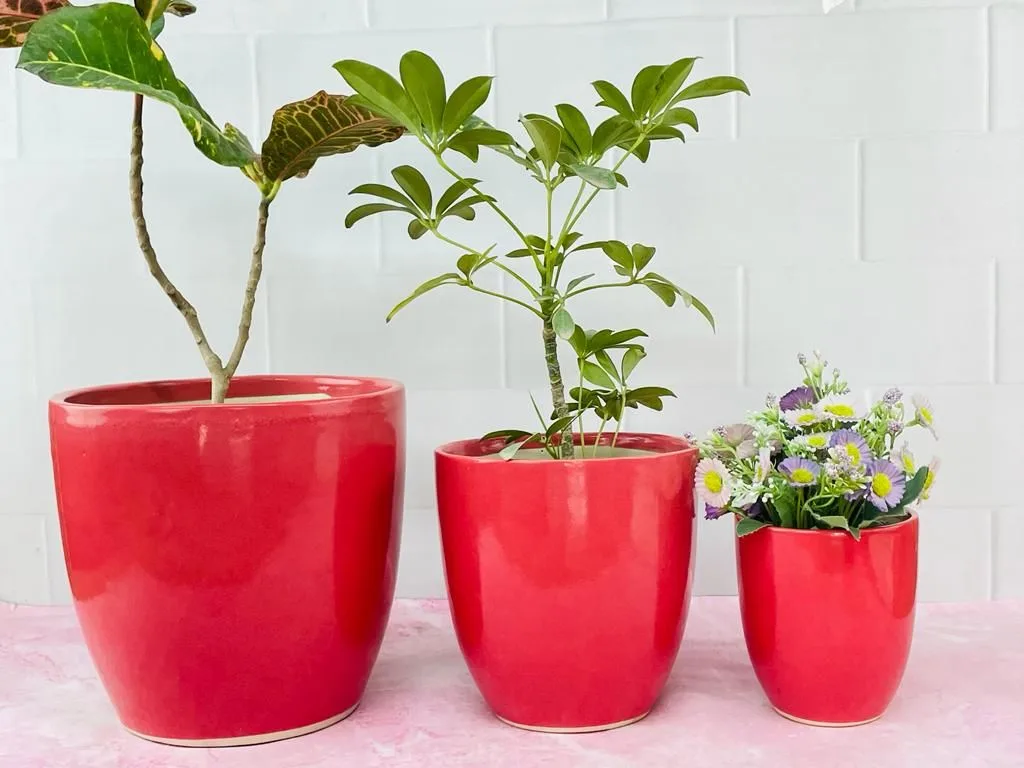 Classic Ceramic Planter — 10" Dia × 9.5" Height — Primary View