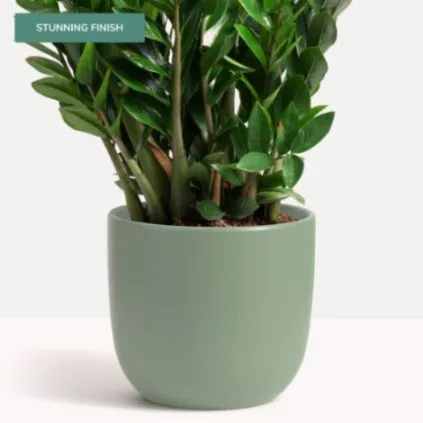 Classic Ceramic Planter — 7.5" Dia × 7" Height — Primary View