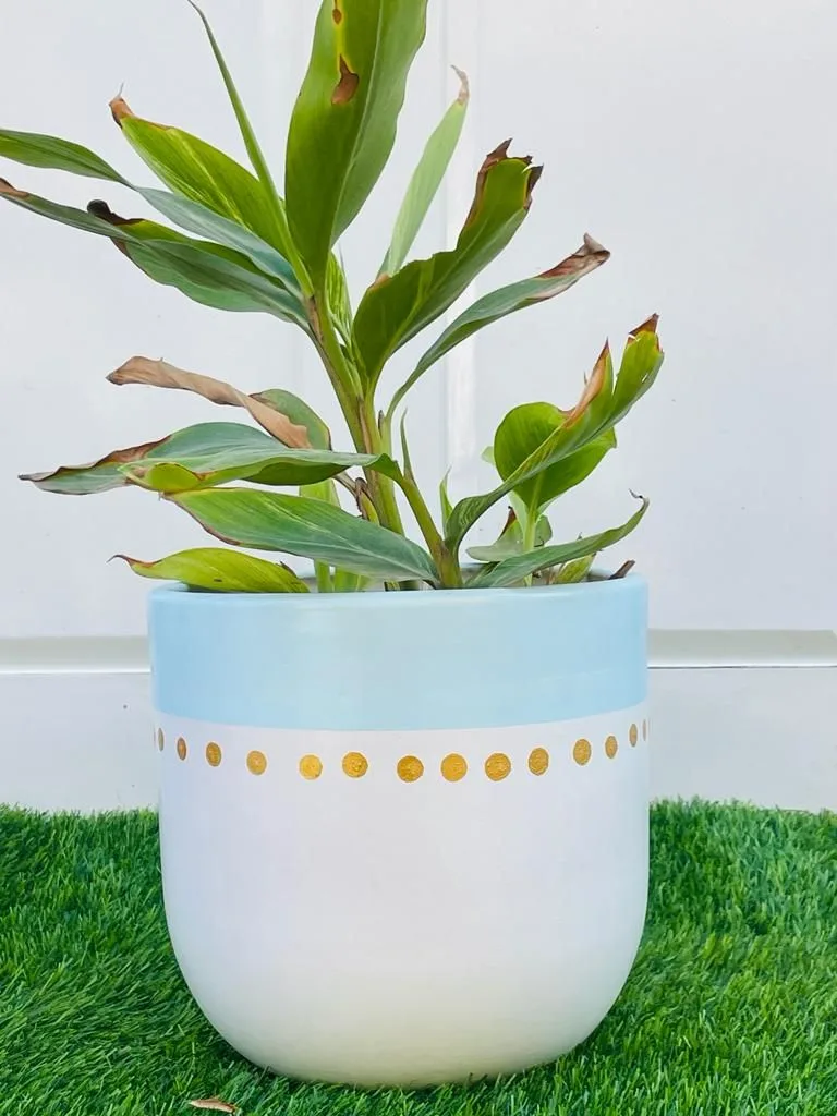 Classic Ceramic Planter — 10" Dia × 9.5" Height — Primary View