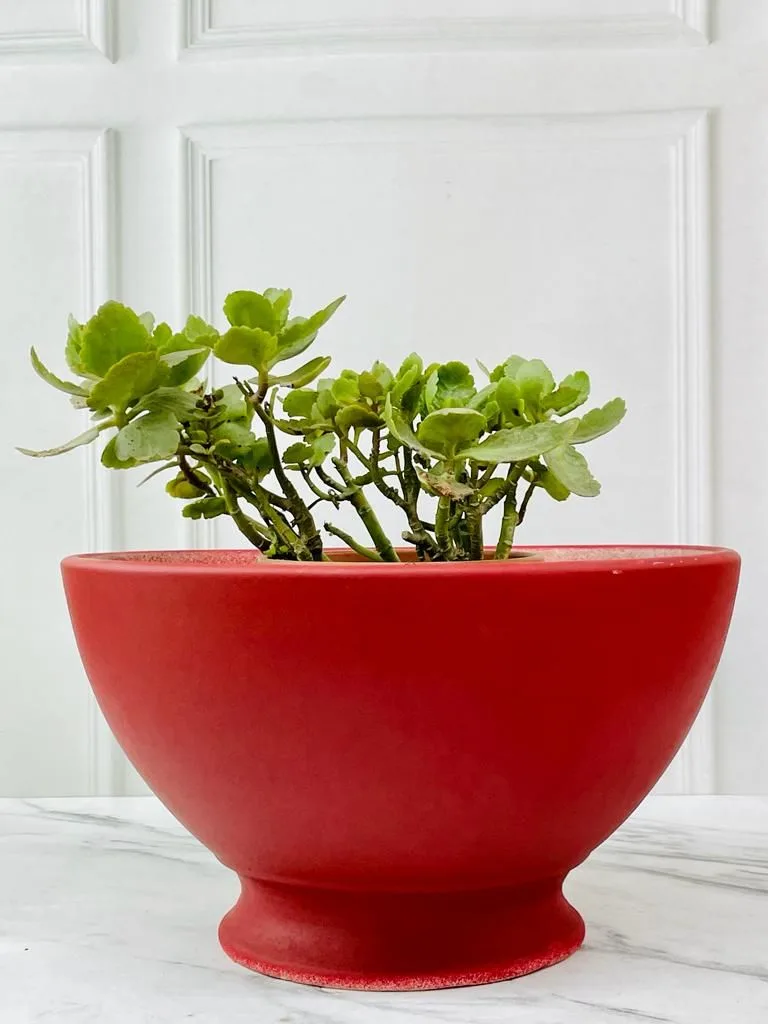 Classic Ceramic Planter — 12" Dia × 13.5" Height — Primary View