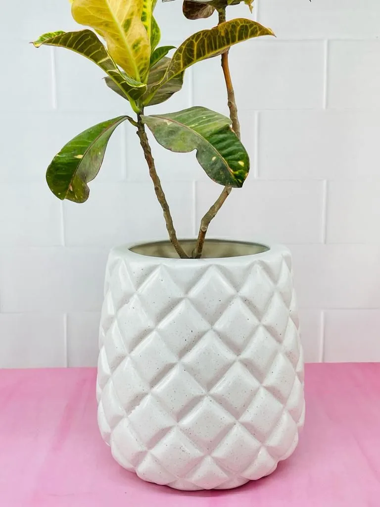 Classic Ceramic Planter — 5" Dia × 16" Height — Primary View