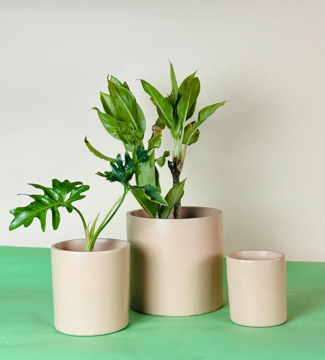 Classic Ceramic Planter — 6" Dia × 16.5" Height — Primary View