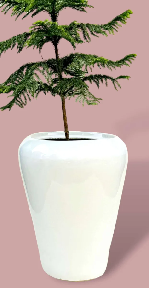 Classic Ceramic Planter — 7.5" Dia × 9" Height — Primary View