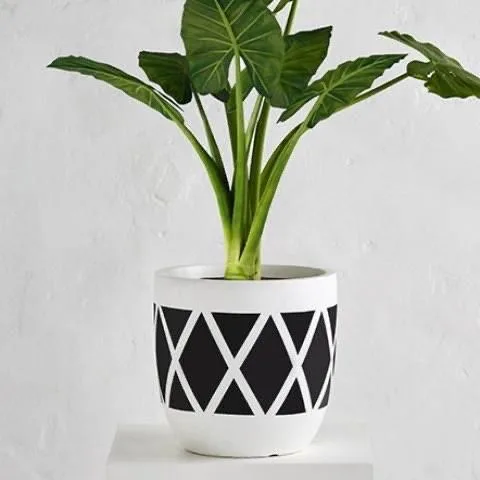 Classic Ceramic Planter — 5" Dia × 8" Height — Primary View