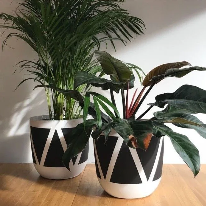 Classic Ceramic Planter — 7.5" Dia × 17" Height — Primary View
