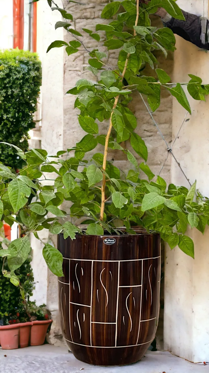 Classic Ceramic Planter Set of 3 (11" Dia × 11" Height) — Primary View
