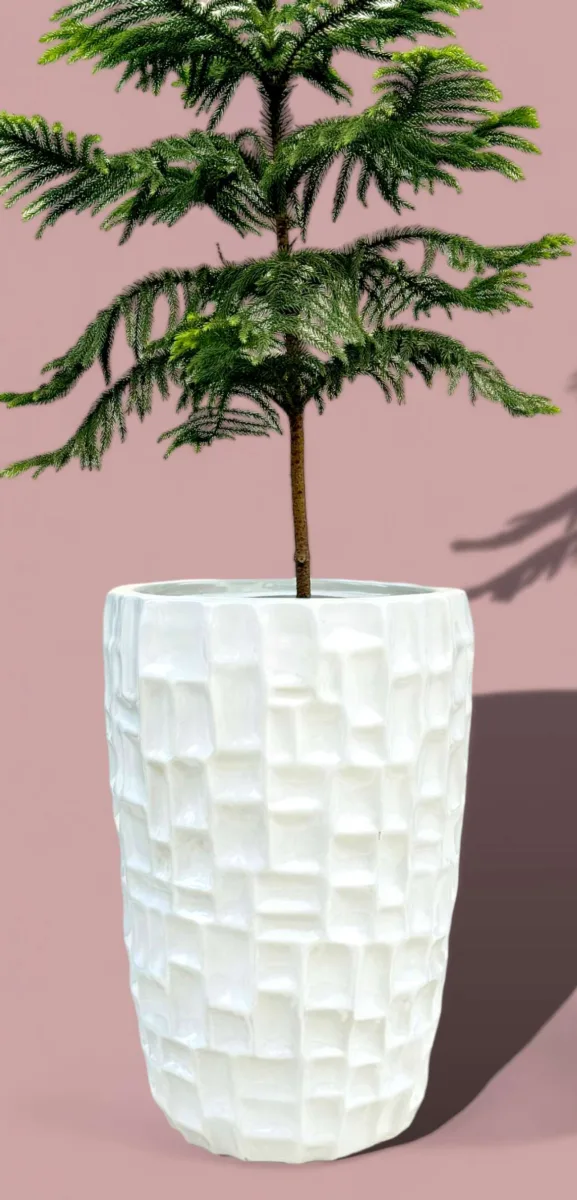 Classic Ceramic Planter Set of 2 (2" Dia) — Primary View