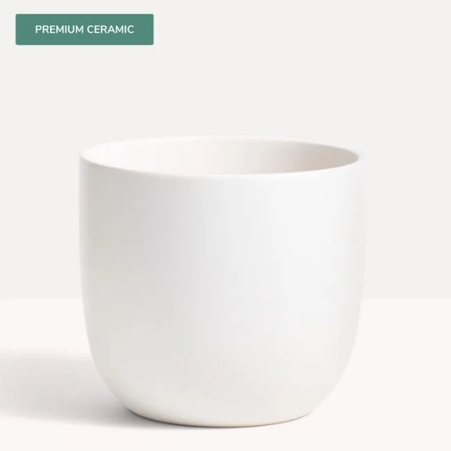 Classic Ceramic Planter — 15" Dia × 18" Height — Primary View