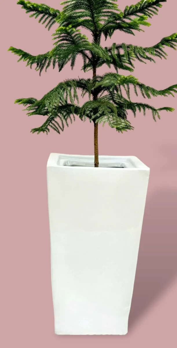 Classic Ceramic Planter — 15" Dia × 15" Height — Primary View