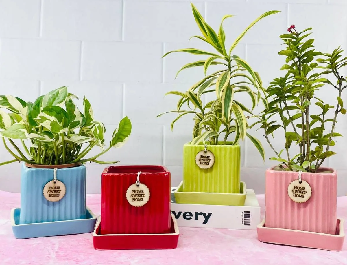 Classic Ceramic Planter Set of 3 (11" Dia × 11" Height) — Primary View
