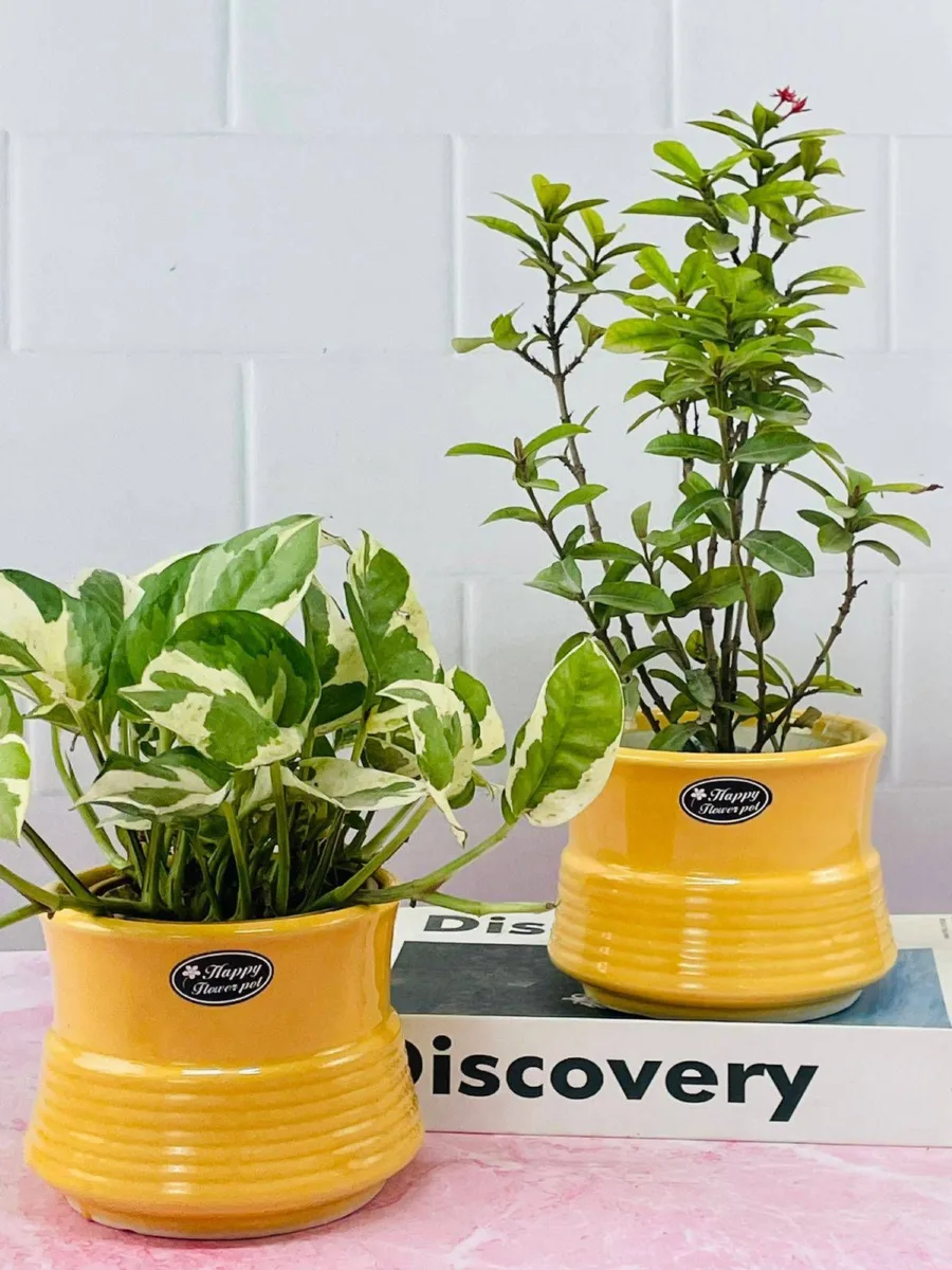Classic Ceramic Planter — 16" Dia × 15" Height — Primary View